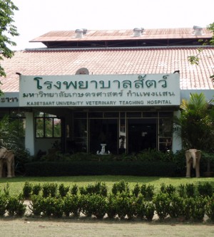 เตาเผาซากสัตว์ บริษัทเก็บขยะติดเชื้อ